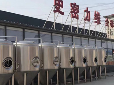 乡宁精酿啤酒设备厂—如何判断精酿啤酒设备的密封件需要更换？